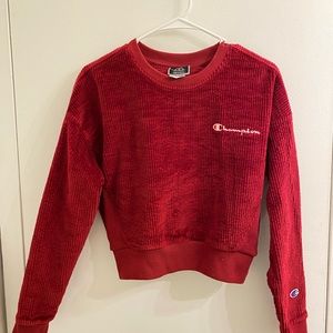 Champion UO Exclusive Corduroy Sweatshirt